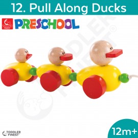 Pull Along Ducks- Preschool Kids Early Learning Toy - Wooden Building Block Shape Color Pattern Sorting Puzzle